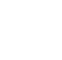 TikTok Icon